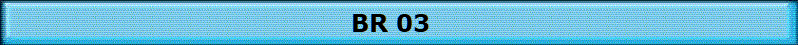 BR 03  